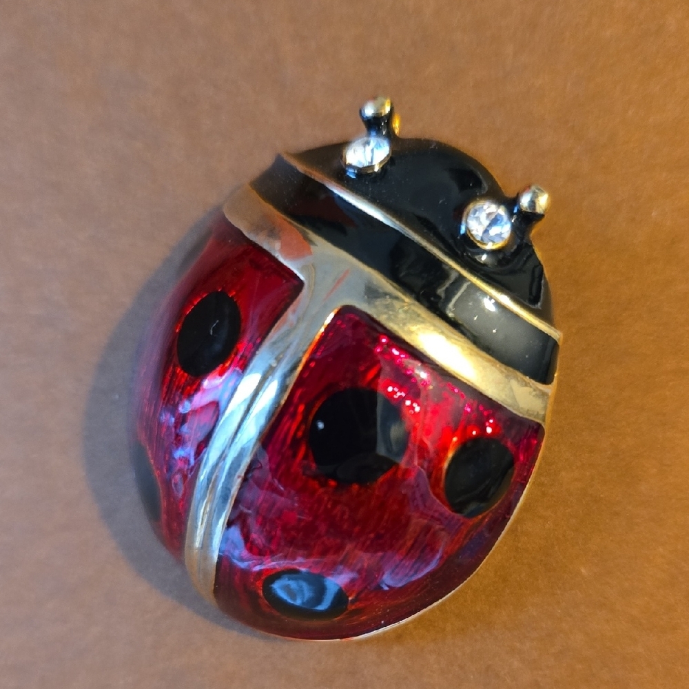 Red and Black Ladybug Brooch